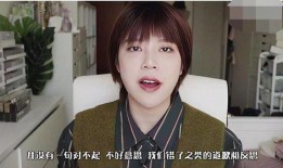 网红刘辉被爆料视频大全,揭秘背后真相与争议