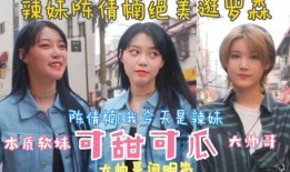 小军爆料闫老二是谁啊视频,小军爆料，闫老二身份之谜